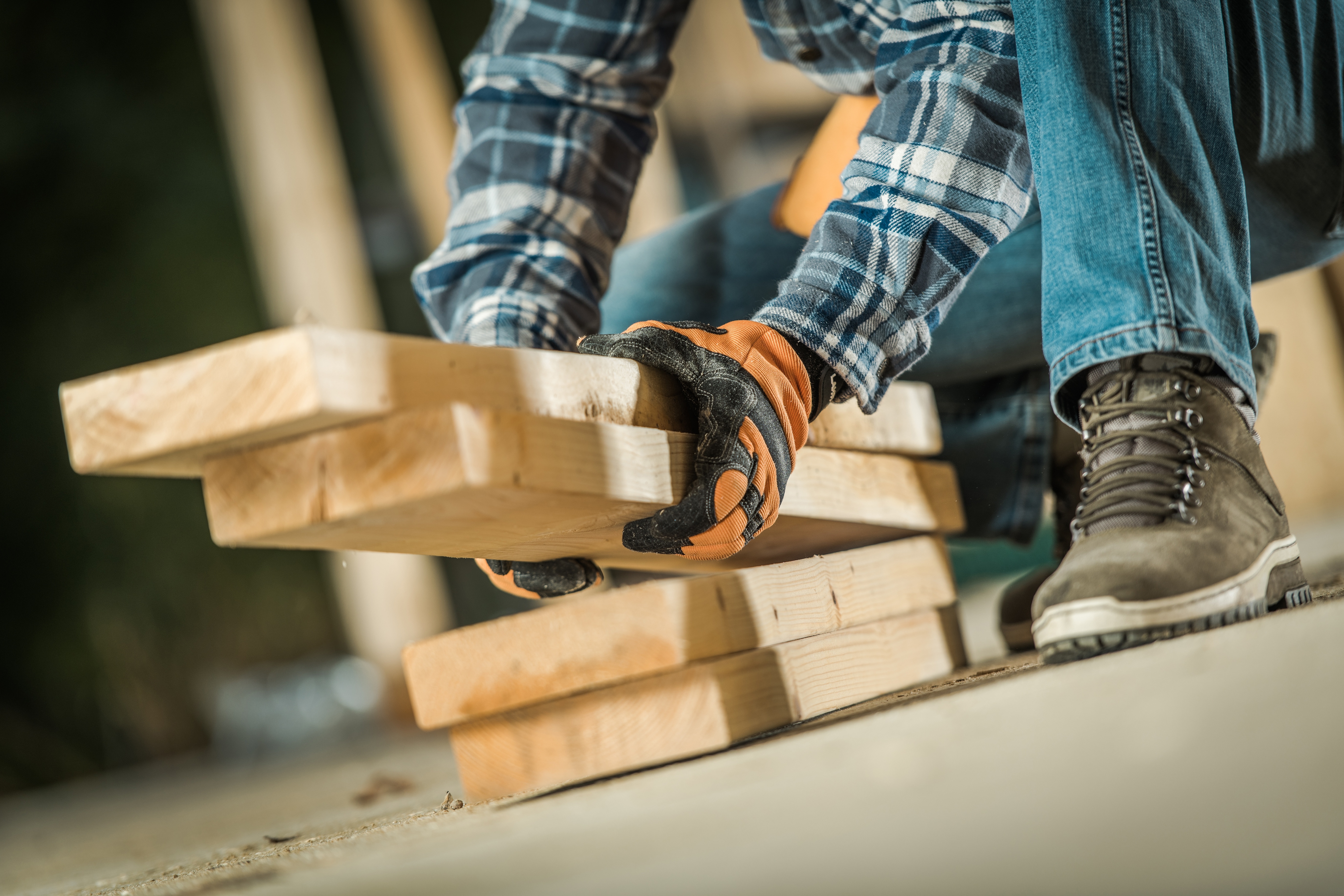 Professional Fit-Outs Start with the Right Timber: Here’s Why